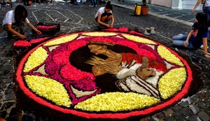 fiori, infiorata, giallo, petali, cerchio, rosso, disegno, colori