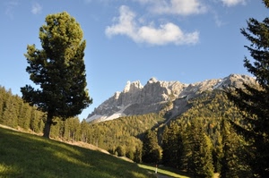 alberi, montagna, nuvole, verde, cielo, montagne, bosco, prato, albero