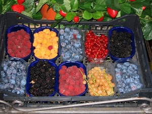 mirtilli, frutta, more, cestini, lamponi, ribes, frutti, bosco, colori, fragole