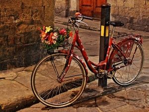 bicicletta, fiori, rosso, ruote, palo, rossa, strada, cestino, marciapiede
