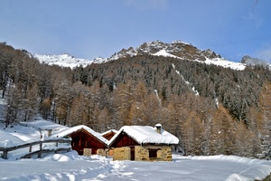 neve, case, alberi, montagna, montagne, baite, bosco, bianco
