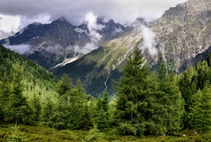 alberi, nuvole, verde, montagne, montagna, abeti, bosco, cielo, panorama