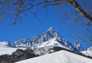neve, montagna, albero, rami, inverno, bianco, cielo, alberi, montagne