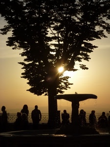 albero, controluce, persone, sole, fontana, tramonto