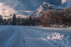 neve, strada, alberi, inverno, montagna, paesaggio