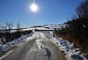 neve, strada, sole, controluce, inverno, alberi, bianco, cielo