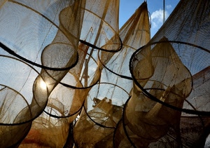 reti, pesca, cerchi, nasse, cielo, sole, mare, trasparenze, controluce