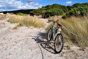 bicicletta, alberi, sabbia, verde, nuvole, erba, cielo, corda, ruote, azzurro, staccionata, dune, sentiero, ombra