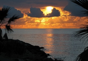 tramonto, mare, nuvole, cielo, sole, acqua, palme, riflesso, giallo, scogli, orizzonte, foglie, arancione, alba, rami, riflessi, costa, piante, scogliera