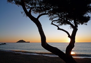 mare, albero, isola, sole, tramonto, spiaggia, controluce, acqua, alba, rami, onde, cielo, orizzonte, riflesso, tronco