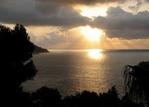 mare, nuvole, alberi, tramonto, sole, controluce, acqua, raggi, alba, luce, riflesso