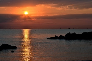 sole, tramonto, cielo, mare, nuvole, scogli, riflesso, uccelli, controluce, riflessi, rosso, gabbiani, alba, orizzonte, silhouette, arancione, barche, rocce, navi, acqua