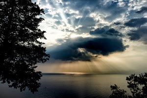 nuvole, raggi, mare, cielo, alberi, sole, foglie, acqua, controluce, tramonto, riflessi, albero, rami