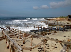 mare, spiaggia, onde, legno, pali, cielo, acqua, sabbia