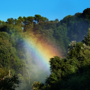 arcobaleno, alberi, verde, colori, piante, bosco, cielo, giallo