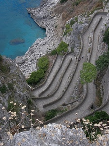 mare, strada, tornanti, curve, rocce, fiori, acqua, verde