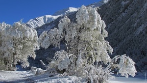 neve, alberi, montagna, inverno, montagne, bianco, cielo, rami