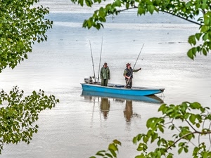 barca, acqua, foglie, pescatori, canne, due, rami, verde, azzurro, riflesso, uomini, imbarcazione, lago, pesca, riflessi, alberi, fiume, pescare