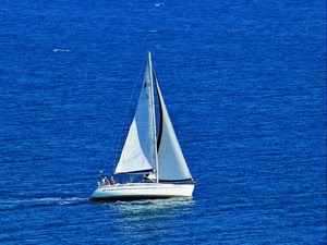 mare, barca, azzurro, vele, vela, bianco, acqua, blu, albero, scia, uomini, persone, randa