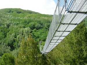 ponte, verde, alberi, sospeso, bosco, passerella, montagna, rete, piante, ferro