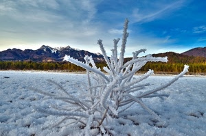 inverno, neve, montagne, ghiaccio, rami, gelo, arbusto, galaverna, paesaggio, brina, cielo, bosco, bianco