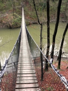 ponte, fiume, alberi, acqua, sospeso, rete, legno, tavole, foglie