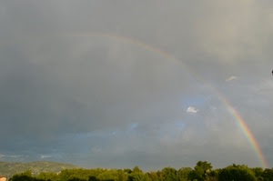 arcobaleno, alberi, nuvole, cielo, verde, grigio, bosco