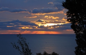 nuvole, mare, tramonto, cielo, sole, alberi, raggi, albero, alba, acqua, paesaggio, rosso, orizzonte, luce