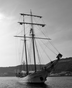 alberi, mare, acqua, bianconero, corde, veliero, vele, barca, nave, colline, prua, costa, scafo