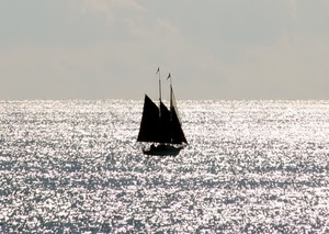 mare, barca, controluce, vela, acqua, vele, riflessi, silhouette