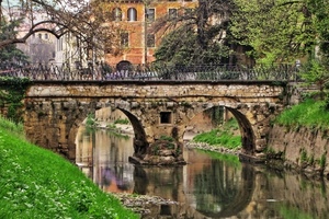 ponte, riflesso, fiume, acqua, archi, alberi, verde, canale
