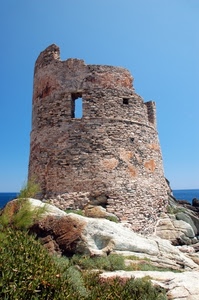 torre, mare, rudere, cielo, finestra, rocce, finestre, piante, abbandono