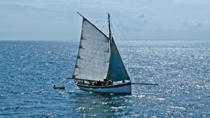 mare, barca, vela, acqua, vele, nuvole, cielo, alberi