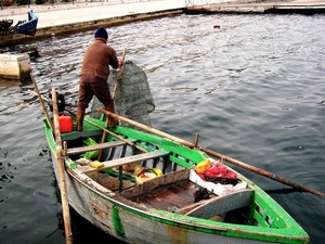 pescatore, barca, verde, remi, mare, acqua, legno, nasse, porto, pesca, rosso, rete, molo, pescare