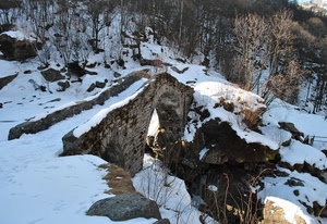 ponte, neve, bianco, alberi, inverno, arbusti, sassi, bosco