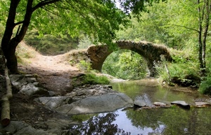 ponte, alberi, arco, fiume, acqua, bosco, verde