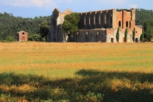 chiesa, prato, rudere, rovine, ruderi, campo, campagna, abbazia, verde, rovina, abbandono