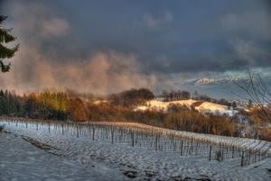 neve, nebbia, colline, inverno, alberi, campi, vigna, nubi, nuvole, panorama, vigneti, cielo, montagna, tramonto