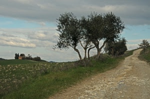 alberi, nuvole, sentiero, cielo, strada, verde, campagna, casa, paesaggio, erba, collina, olivi, panorama, casolare, sassi, prato, azzurro