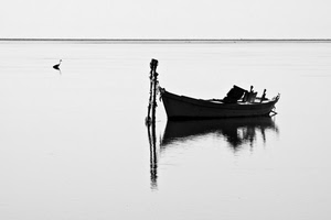 barca, mare, bianconero, riflesso, acqua, uccello, palo, lago, cielo, minimalismo