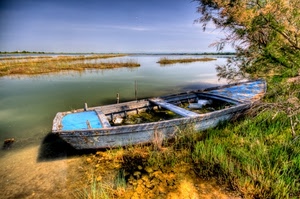 barca, acqua, fiume, lago, albero, azzurro, erba, legno, cielo