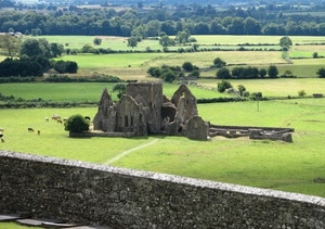 alberi, verde, muro, rudere, ruderi, campagna, pietra, erba, prato, muretto, campi, rovine, prati, campo