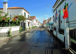 strada, case, bandiere, prospettiva, bagnato, cancelli, bandierine, piante