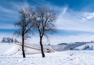 neve, alberi, cielo, bianco, inverno, nuvole, rami, due, colline, casa, panorama, paesaggio, azzurro, spogli, albero