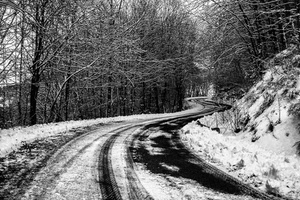 strada, neve, alberi, inverno, bianconero, bianco, curve