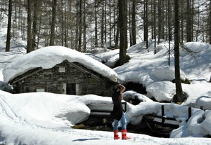 neve, alberi, casa, inverno, fotografo, bosco, donna, baita, persona