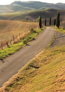 strada, alberi, colline, cipressi, erba, panorama, collina, campi, campagna, sentiero, prati, prato, verde, staccionata, paesaggio, recinzione