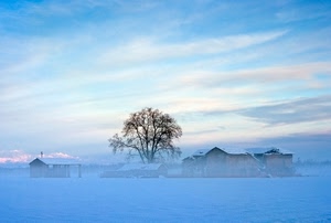 albero, neve, nuvole, cielo, nebbia, inverno, case, foschia, paesaggio, panorama, bianco, azzurro, rami