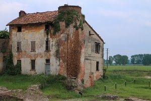 casa, alberi, finestre, rudere, erba, piante, prato, tetto, porte, palo, verde, cielo, rampicanti, ruderi, abbandono, paletti, persiane, campo
