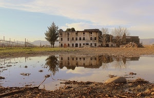riflesso, pozzanghera, albero, acqua, rudere, alberi, casa, vigneto, riflessi